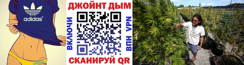 Конопля тримм  Сортавала 